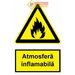 Indicator pentru atmosfere inflamabile